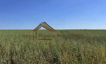 Imagem 2: Sitio com 3,5 alqueires em Tatuí-SP