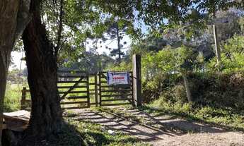 Imagem 2: ÁREA BR 376 SÃO JIOSÉ DOS PINHAIS