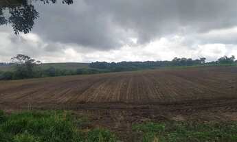 Imagem 4: Fazenda ,gado,plantio otimo investimeno.