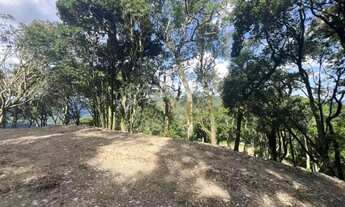 Imagem 7: Área - Bairro Sierra Park