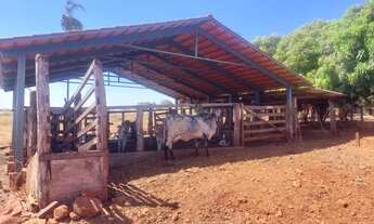 Imagem 5: Chácara de 2 alqueires a venda em Ceres-GO