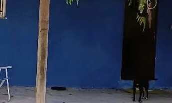 Imagem 6: Vendo ótima casa em praia de Mauá ?