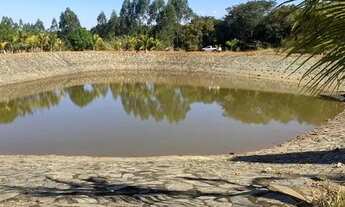 Imagem 3: VENDO FAZENDA 13.1 HECTARES - OPORTUNIDADE