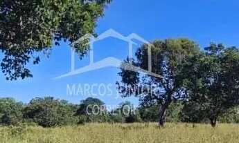 Imagem 4: ABAIXOU!!VENDO FAZENDA NA REGIÃO DE IBIAI MG, PARA DUPLA APTIDÃO!!!