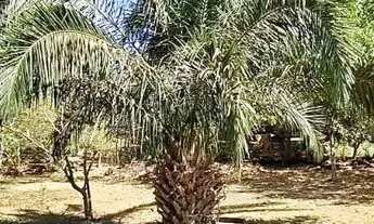 Imagem 7: Chácara à venda, Vila Jardim São Judas Tadeu, Goiânia, GO