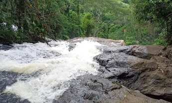 Imagem 6: Venda-se 2 alqueires e 10 litros de mata no Município de Mimoso do Sul/ES