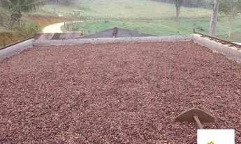 Imagem: Áreas à venda em rua pública, ZONA RURAL