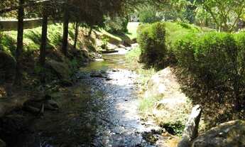 Imagem 5: Chácara à venda, 93245 m² por R$ 899.000,00 - Riograndina - Nova Friburgo/RJ