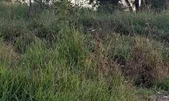 Imagem 4: Lote em Avenida Anel - Belvedere - Ribeirão das Neves/MG