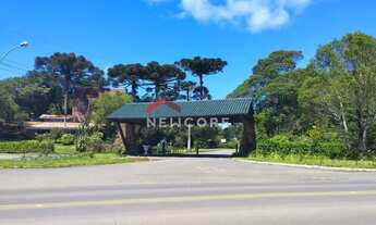 Imagem 7: Lote em Rua 1 - Colinas - São Francisco de Paula/RS