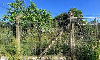 Imagem 3: Terreno na Campina com 396m2