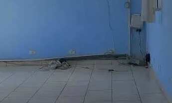 Imagem 7: Galpão Comercial de 1.000 m² para Locação na Rua Auriverde