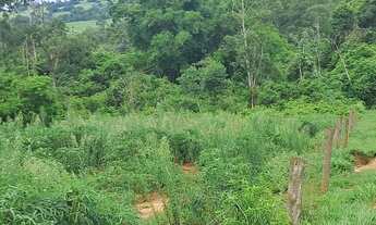 Imagem 5: Sítio 2,225 alqueires/Altônia PR