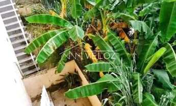 Imagem 4: Apartamento : / Residencial / Santa Teresa