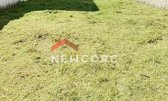 Imagem 4: Lote em Rua Geraldo Ramos dos Santos - Jardim Panorama - Caçapava/SP