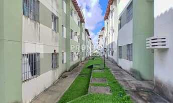 Imagem 3: Aparamento de dois quartos e com garagem em Sucupira