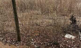 Imagem 2: Terreno Vianópolis