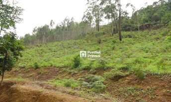 Imagem 3: Terreno à venda, 7450 m² por R$ 300.000,00 - Mury - Nova Friburgo/RJ