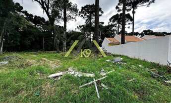 Imagem 5: LOTES NO PALMITAL COM 1250 M² EM COLOMBO