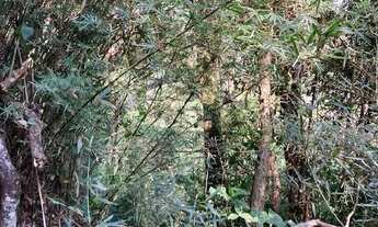 Imagem: Oportunidade Única em EMBU DAS ARTES