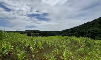 Imagem 2: Lotes para venda possui 500 metros quadrados em Colégio - Ibiúna - SP
