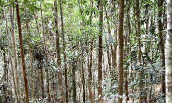 Imagem 6: Paraíso Ecológico em Santa Teresa Com 4 Hectares