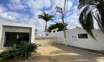 Imagem 4: Oportunidade terrenos na pecuária