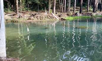 Imagem 5: Terreno pajuçara (vendo ou troco