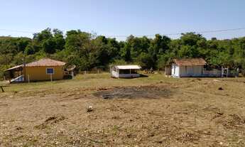 Imagem 5: Chacara de 2 alqueires formada com represa tanque de peixe riacho a 85 km de goiania