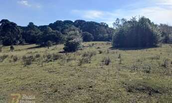 Imagem 6: Terreno em rua - Bairro Jardim Veneza em Piraquara