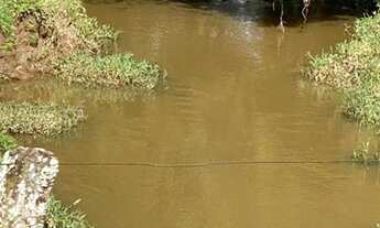 Imagem 2: Fazenda em São Francisco de Goiás