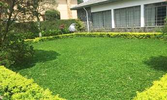 Imagem 7: Casa no Brooklin Velho - 700 m2 - Piscina, jardim, 6 vagas!