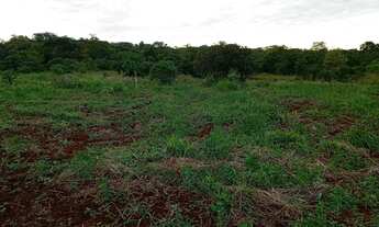 Imagem 6: Vendo uma chácara em Jaraguari