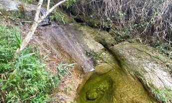 Imagem 6: Petrópolis - Fazenda - Itaipava