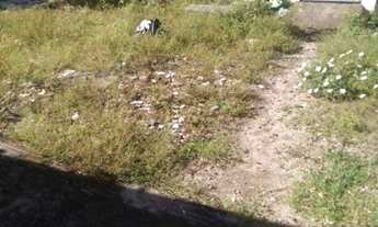 Imagem 2: Casa com 2 dormitórios à venda por R$ 160.000 - Mangabeira - João Pessoa/PB