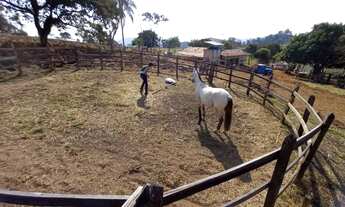 Imagem 6: Vendo Sitio em São Luiz do Paraitinga