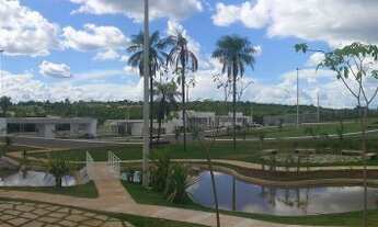 Imagem 6: Oportunidade florais do valle