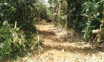 Imagem 3: 20 alqueires divisa Rondônia e Amazonas