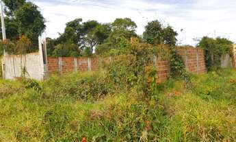 Imagem 6: Terreno Vale Do Igapó
