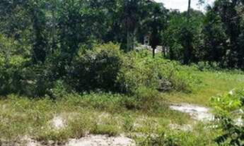 Imagem 4: Terreno com Igarapé