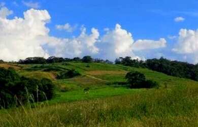 Imagem 11: Lote/Terreno para venda tem 600 metros quadrados em Jardim Três Marias - Taboão da Serra