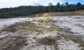 Imagem 5: Vende-se Terreno no Ramal bandeirantes na BR 174