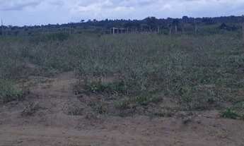 Imagem: Vendo lote 100 plano no imbiruçu de dentro