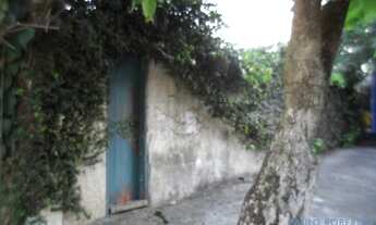 Imagem 2: TERRENO - VILA TRAMONTANO - SP