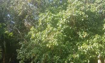 Imagem 5: Fazenda/Sítio/Chácara para venda R$580.000,00 -10.000m²