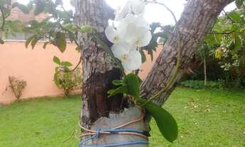 Imagem 7: CASA TEMPORADA EM BUZIOS