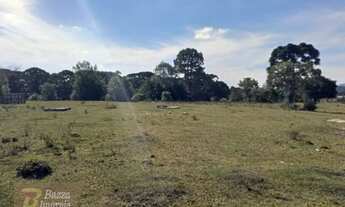 Imagem 7: Terreno em rua - Bairro Jardim Veneza em Piraquara