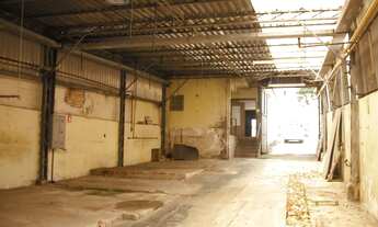 Imagem 2: GALPÃO - SANTO AMARO - SP