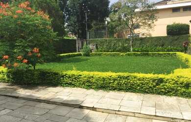 Imagem 6: Casa no Brooklin Velho - 700 m2 - Piscina, jardim, 6 vagas!