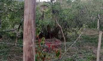 Imagem 7: Terreno em Cachoeiras de Macacu